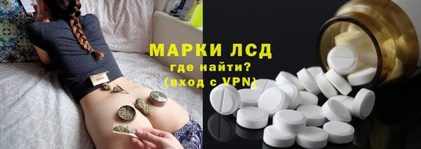 гидра Галич