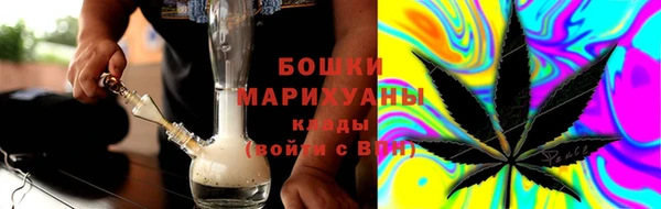 прущие грибы Осташков