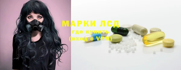 прущие грибы Осташков
