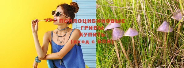 jwh Гвардейск