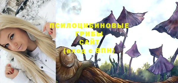 PSILOCYBIN Абинск
