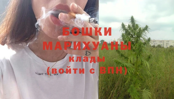 прущие грибы Осинники