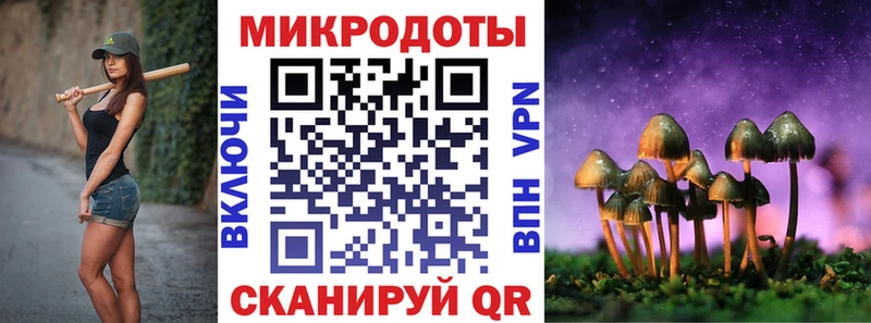 Галлюциногенные грибы Psilocybe  Ивантеевка 